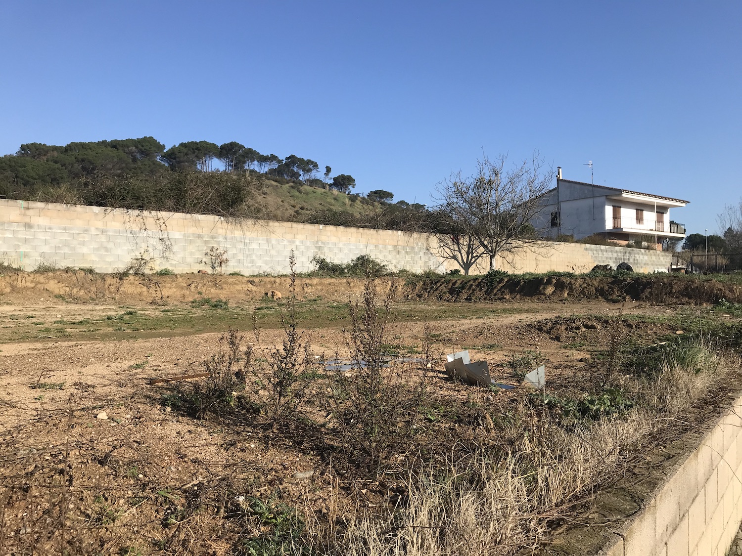 Cámara frigorífica obras 1