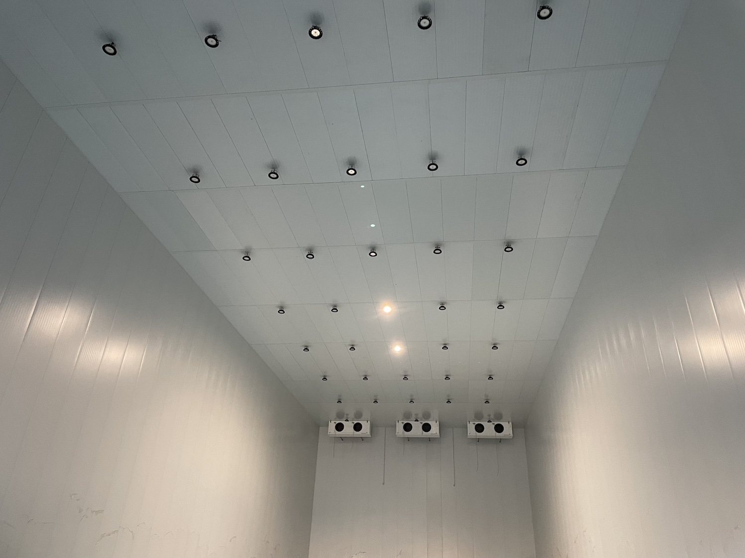 Cámara frigorífica panificadora obras 5